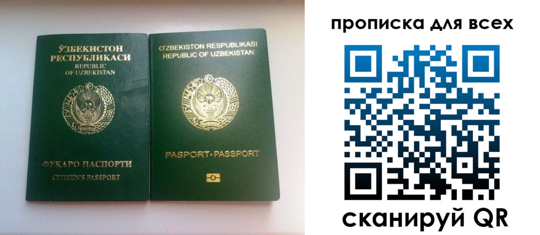 прописка для школы в Егорьевске